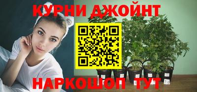 индика Ликино-Дулёво