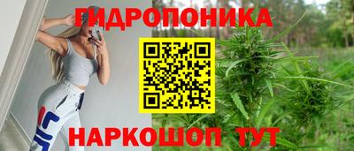индика Ликино-Дулёво