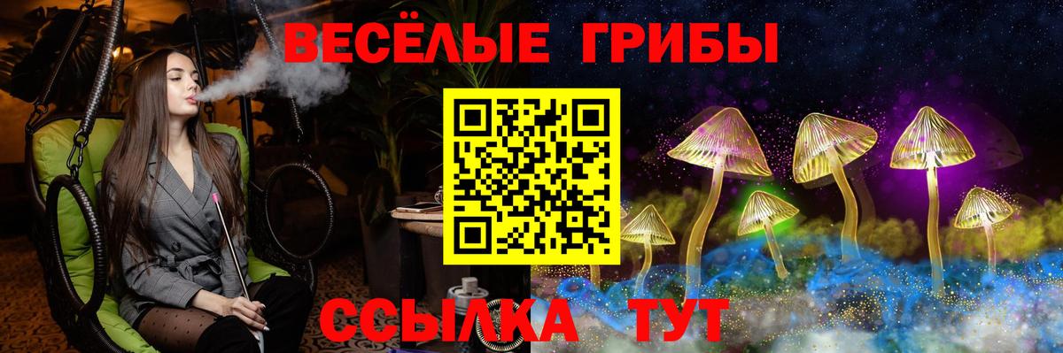 наркошоп  Галлюциногенные грибы Psilocybine cubensis  Вход с VPN  Псилоцибиновые грибы прущие грибы  Заволжье 